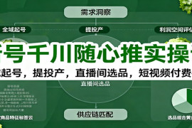 新号千川随心推实操课：全域起号，提投产，直播间选品，短视频付费拉爆