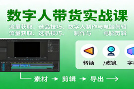 数字人变现实战课：流量获取、选品技巧、数字人制作与电脑剪辑