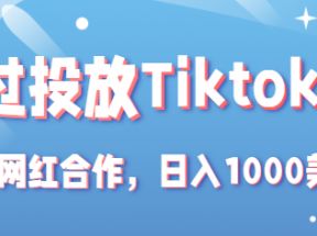 Tiktok赚钱项目：通过投放Tiktok广告，和网红合作，日入1000美元