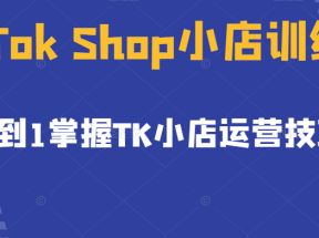 TikTok Shop小店训练营，从0到1掌握TK小店运营技巧，开启2022年海外小店带货