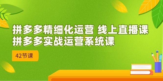 拼多多精细化运营 线上直播课:拼多多实战运营系统课(更新47节)