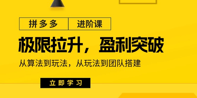 拼多多进阶课:极限拉升/盈利突破:从算法到玩法 从玩法到团队搭建(18节)